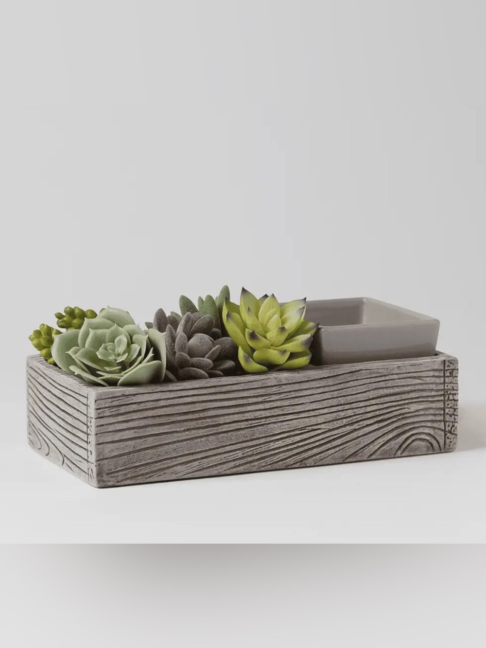 Scentsy Suc-cute-lent Warmer